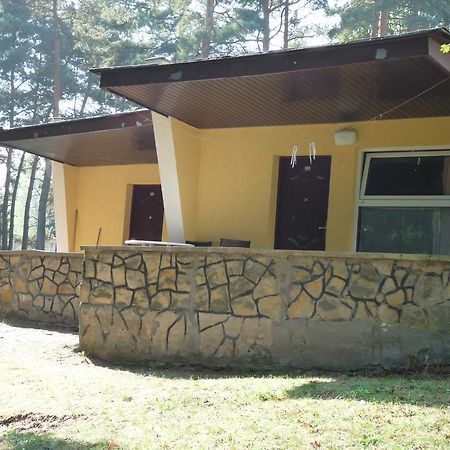 Osrodek Wypoczynkowy Jelonek Hotel Wolsztyn Buitenkant foto